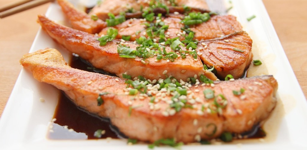 salmon fish