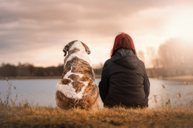 Friends Dog Pet